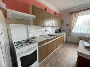 Köök või kööginurk majutusasutuses apartman pro 4 osoby