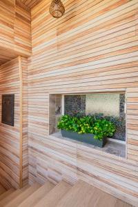 En have udenfor Terra Apart