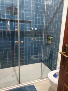 a blue tiled bathroom with a shower with a toilet at Best of nature 2, Matosinhos beach, PortoCityParc Metro! in Matosinhos +6 photos
