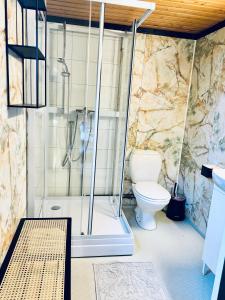 a bathroom with a shower and a toilet at Hytte nær Ål in Liagardane