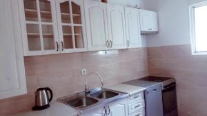 Kuchyň nebo kuchyňský kout v ubytování Bgd apartman + 8 fotografií