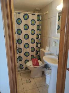 a bathroom with a toilet and a shower curtain at Katerina studios D Lentas in Lentas