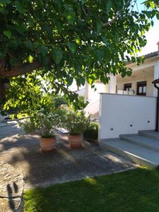 Vonkajšia záhrada v ubytovaní Villa Ivana