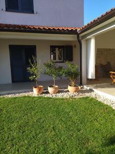 Vonkajšia záhrada v ubytovaní Villa Ivana