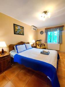 a bedroom with a large bed with blue pillows at Country House Uliana in Tskaltubo