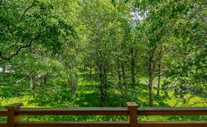 Paesaggio naturale nelle vicinanze dell'hotel