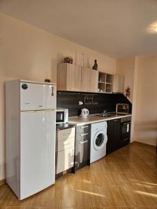 Kuchyň nebo kuchyňský kout v ubytování Apartments Anna on Saint Vlas
