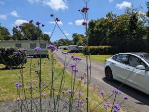 Imagen de la galería de Grand Mobilhome 4 pers 2025 - Granit Rose - Piscine, en Kermaria-Sulard