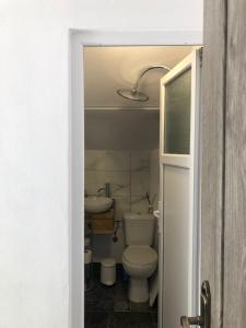 un baño con inodoro y lavabo en Casa din gradina, en Poiana Mărului