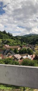 Una vista de una ciudad con casas y edificios. en Casa din gradina, en Poiana Mărului