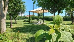Foto dalla galleria di IL MERLO CODERLO a Scorcetoli