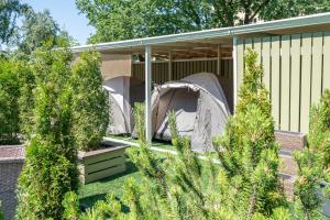 a group of tents in a garden with trees at Garden Clamping in Tallinn