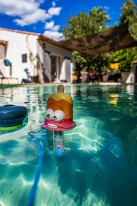 a toy in the water in a swimming pool at La villa in Saint-Maximin-la-Sainte-Baume