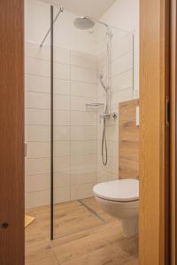 a bathroom with a shower and a toilet at Haus Anni in Bad Kleinkirchheim