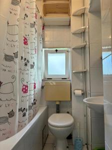 a small bathroom with a toilet and a window at Apartments Hana in Makarska +14 photos