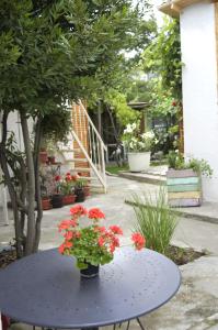 O grădină în afara CASA Apusul Soarelui