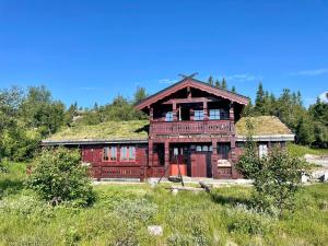 LifjellSollia的一座带草屋顶的大房子