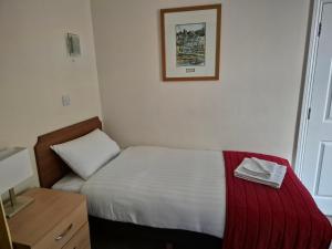 Postel nebo postele na pokoji v ubytování Trecarn Hotel