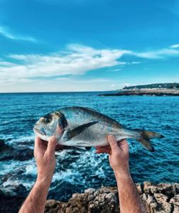 a man holding a fish in front of the ocean at Hotel Corallo in Santa Maria al Bagno