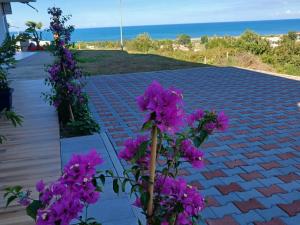 a view from the roof of a house with purple flowers at Sol Apartments Gjiri Lalzit in Durrës