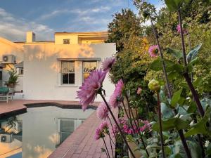 a view from the garden of a house with flowers at Penelope's Stellenbosch in Stellenbosch