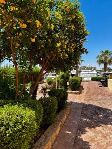 A garden outside New Marina MP 37