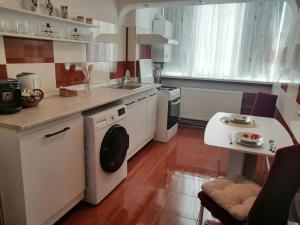 a kitchen with a sink and a dishwasher at Medeea Studio in Alba Iulia