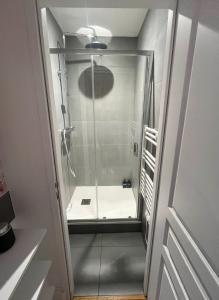 a shower with a glass door in a bathroom at Grand appartement familial de prestige coeur de Lyon in Lyon +39 photos