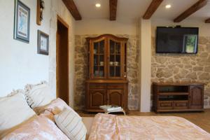 a living room with a couch and a tv on a wall at Studio apartment Lila in Dicmo