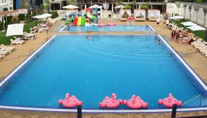 a large swimming pool with pink inflatable pigs in it at Hotel VinoGrad in Haysyn