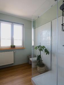 Łazienka w obiekcie Apartamenty Vega