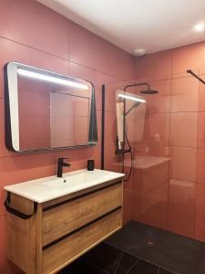 ein Badezimmer mit Waschbecken, Spiegel und Dusche in der Unterkunft Hôtel A Stretta in Propriano + 26 Fotos
