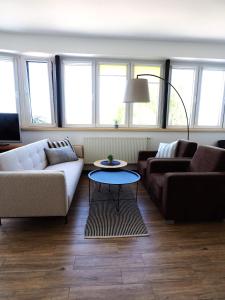 salon z kanapą i stolikiem kawowym w obiekcie Apartamenty Vega w Charzykowach +37 zdjęć