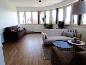 salon z kanapą i stołem w obiekcie Apartamenty Vega w Charzykowach