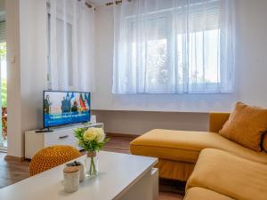 TV a/nebo společenská místnost v ubytování Apartment Alenka by Interhome