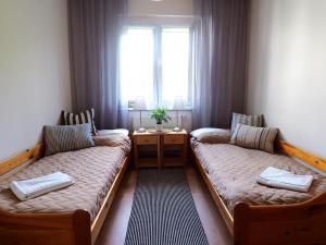 a living room with two beds and a window at Apartamenty Vega in Charzykowy