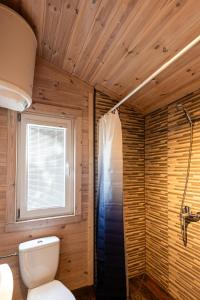 a bathroom with a toilet and a shower at 83 Pylimas Šventoji in Šventoji +65 photos