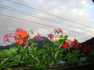 Ein paar Blumen in einem Fenster mit Bergen im Hintergrund. in der Unterkunft Ferienwohnung Wein in Berchtesgaden