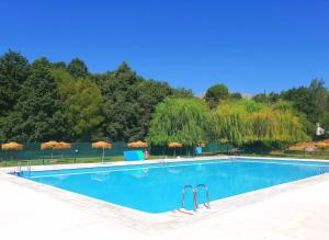 a large swimming pool with umbrellas and a lake at Gredos Loft in Arenas de San Pedro
