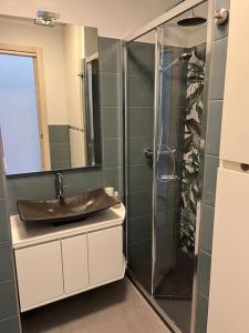 un bagno con lavandino e doccia di Nuovo appartamento vista mare a Roquebrune-Cap-Martin