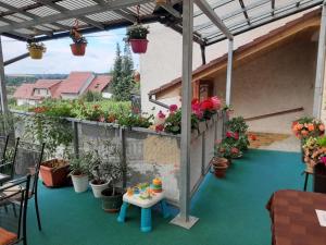 Balkón nebo terasa v ubytování Apartmán LUKA