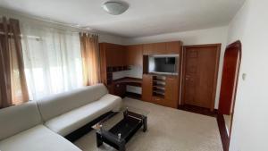 a living room with a couch and a television at Lorena Apartment in Šibenik
