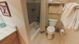 een badkamer met toilet, douche en wastafel bij This Townhouse In Legends On Bridger Creek Development Is Beautifully Finished in Bozeman +8 foto's