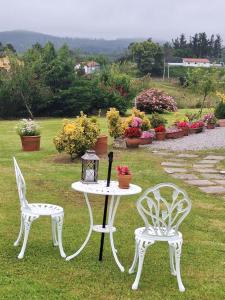 Táj Show homestays közelében