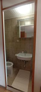 a bathroom with a sink and a toilet at Ferienhaus Pieschl in Keutschach am See +14 photos