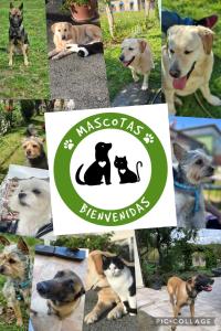 Afbeelding uit fotogalerij van Compuerta Otañes in Otañes