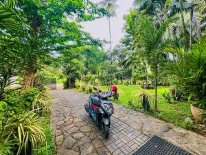 Giardino di Lake View Villa - Tangalle