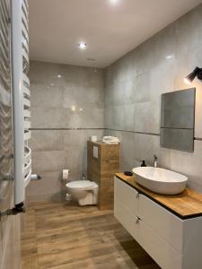 a bathroom with a sink and a toilet at Apartament Gold 3 in Złotoryja +7 photos