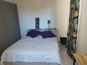 马赛Maison individuelle avec jardin的卧室里有一张带紫色枕头的床