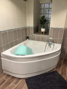 a bath tub with a blue object in a bathroom at L Asterienne in Saint-Astier